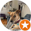 Jay Honsey profile picture